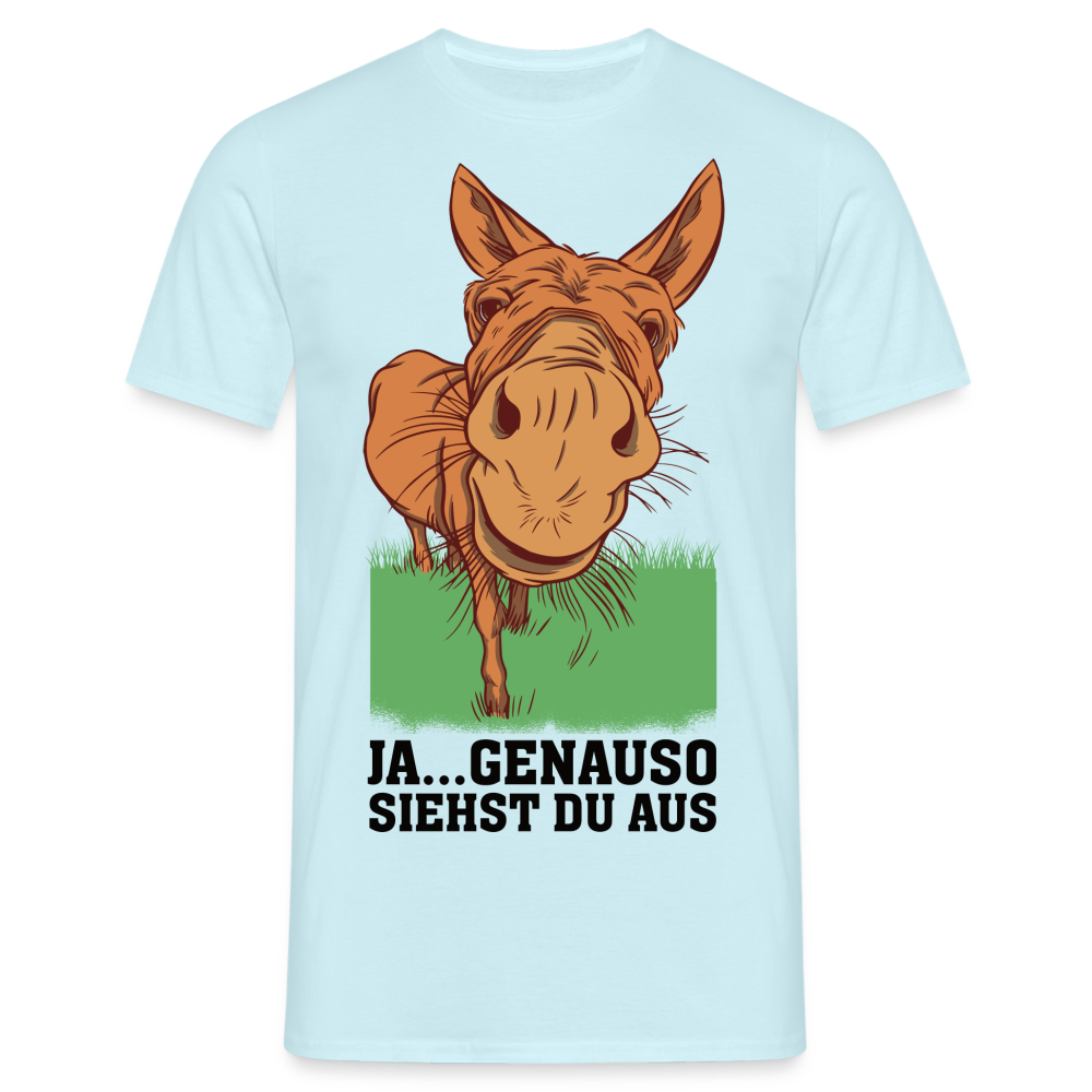 Lustiger Esel - Genauso siehst du aus Lustiges T-Shirt - Sky