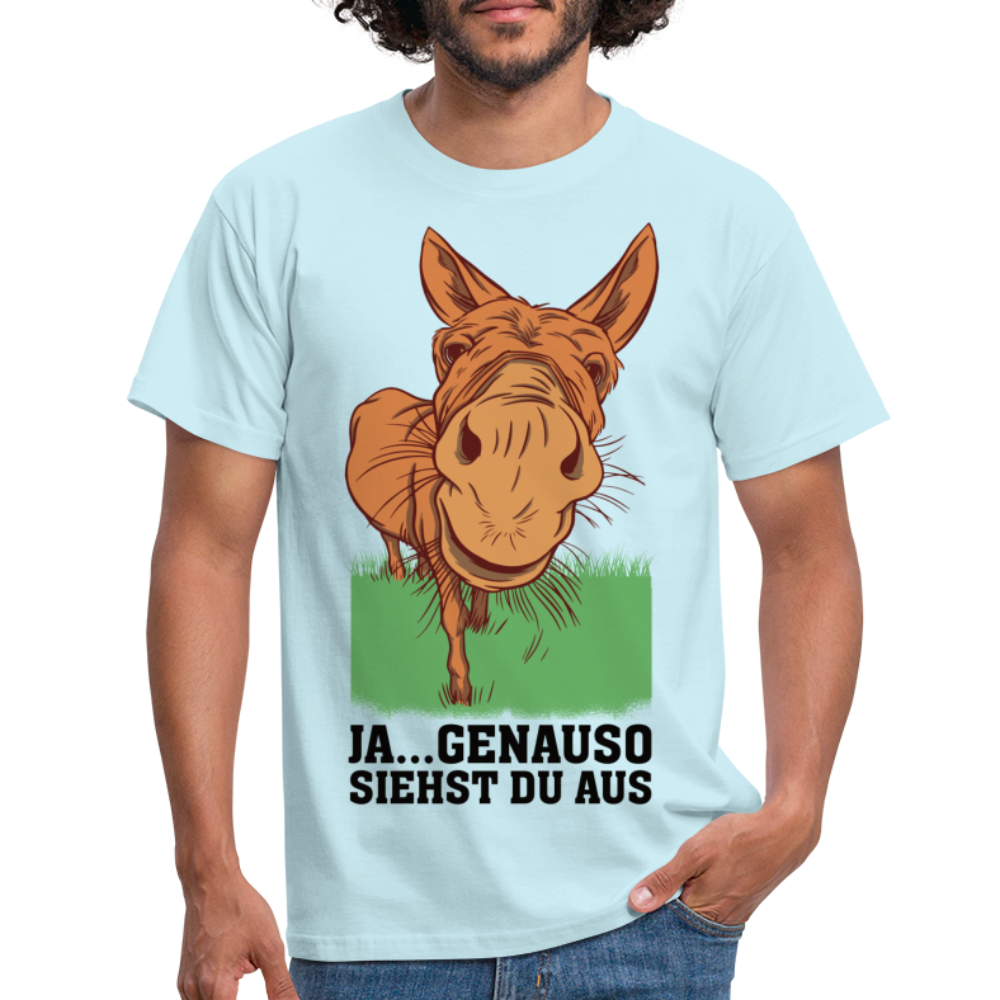 Lustiger Esel - Genauso siehst du aus Lustiges T-Shirt - Sky